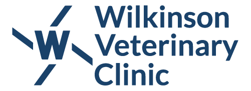 Wilkinsonvetclinic Clone